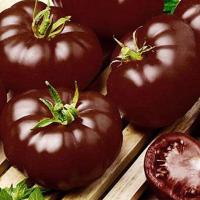 Томат Черный принц 0,2г