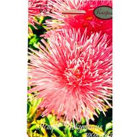 Астра Искушение лососевая 20*1 