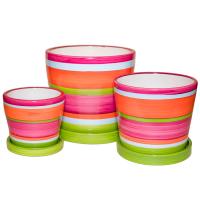 БЕЛИСИЯ компл из 3-х DC 7034