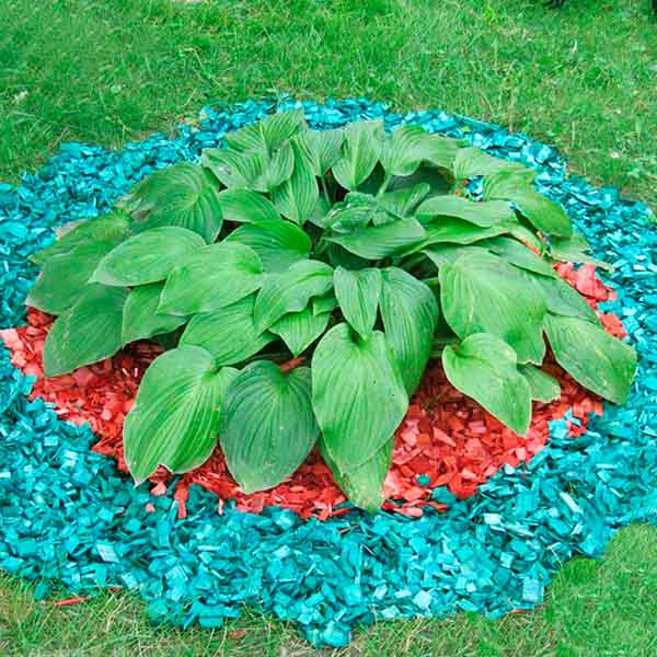 Щепа декоративная 60л зеленая