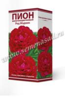 Пион молочноцветковый Ред Мэджик