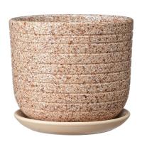 Пряности бежевый бук №2 1,6л