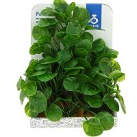 Растение пластиковое prime Лобелия 15см/60106