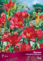 Фрезия гибридная махровая Ред