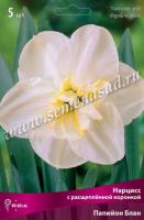 Нарцисс с Расщеплённой коронкой Папийон Блан (12/14) 5шт.