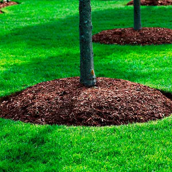 Кора сосны фр.0-1см ГУМУС 60л