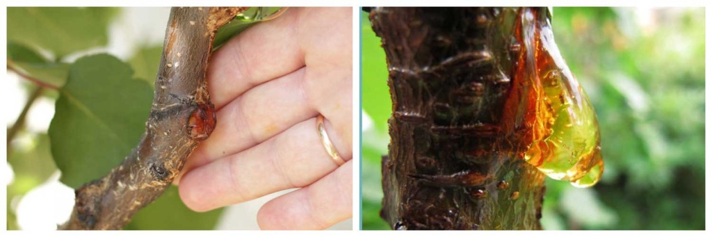 как-избавиться).jpg как-избавиться).jpg