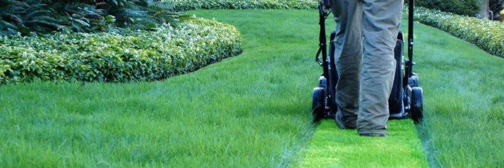 стрижка.png стрижка.png