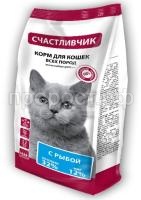 коты-с-рыбой