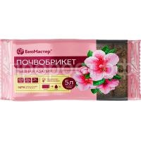 пышная азалия 5 пышная азалия 5