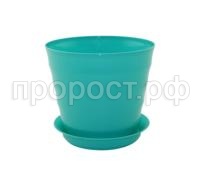 лаура с под (4) лаура с под (4)