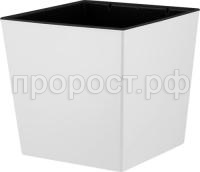 93b8254c2268afaed15d04790872d718