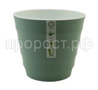 лаура (7) лаура (7)