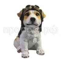 щенок авиатор щенок авиатор