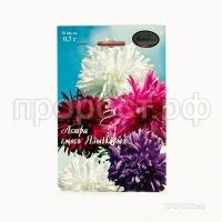 Астра смесь Страусово перо Павлиний хвост 200,7 Каприс Астра смесь Страусово перо Павлиний хвост 200,7 Каприс