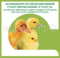 старт цыплята