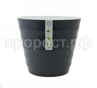 лаура лаура