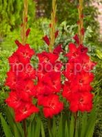 jriy2nn2svczas8n32g6apk4bc8iadfp jriy2nn2svczas8n32g6apk4bc8iadfp