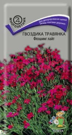 Гвоздика травянка Флэшинг Лайт 0,1г