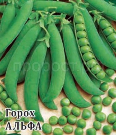 Горох Альфа 50 г