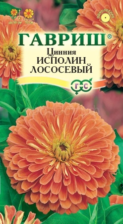 Цинния Исполин лососевый 0,3г