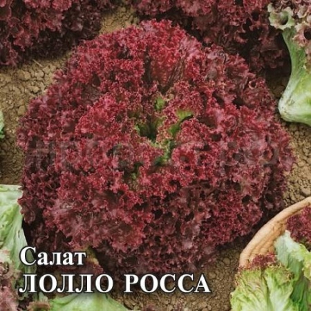 Салат Лолло Росса 10 г