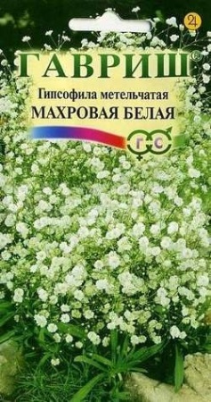 Гипсофила метельчатая Махровая белая 0,1 г