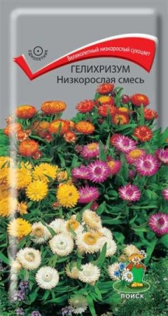 Гелихризум Низкорослая смесь 0,1г