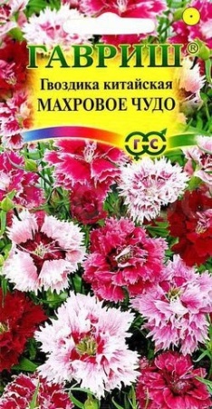 Гвоздика китайская Махровое чудо смесь 0,05г